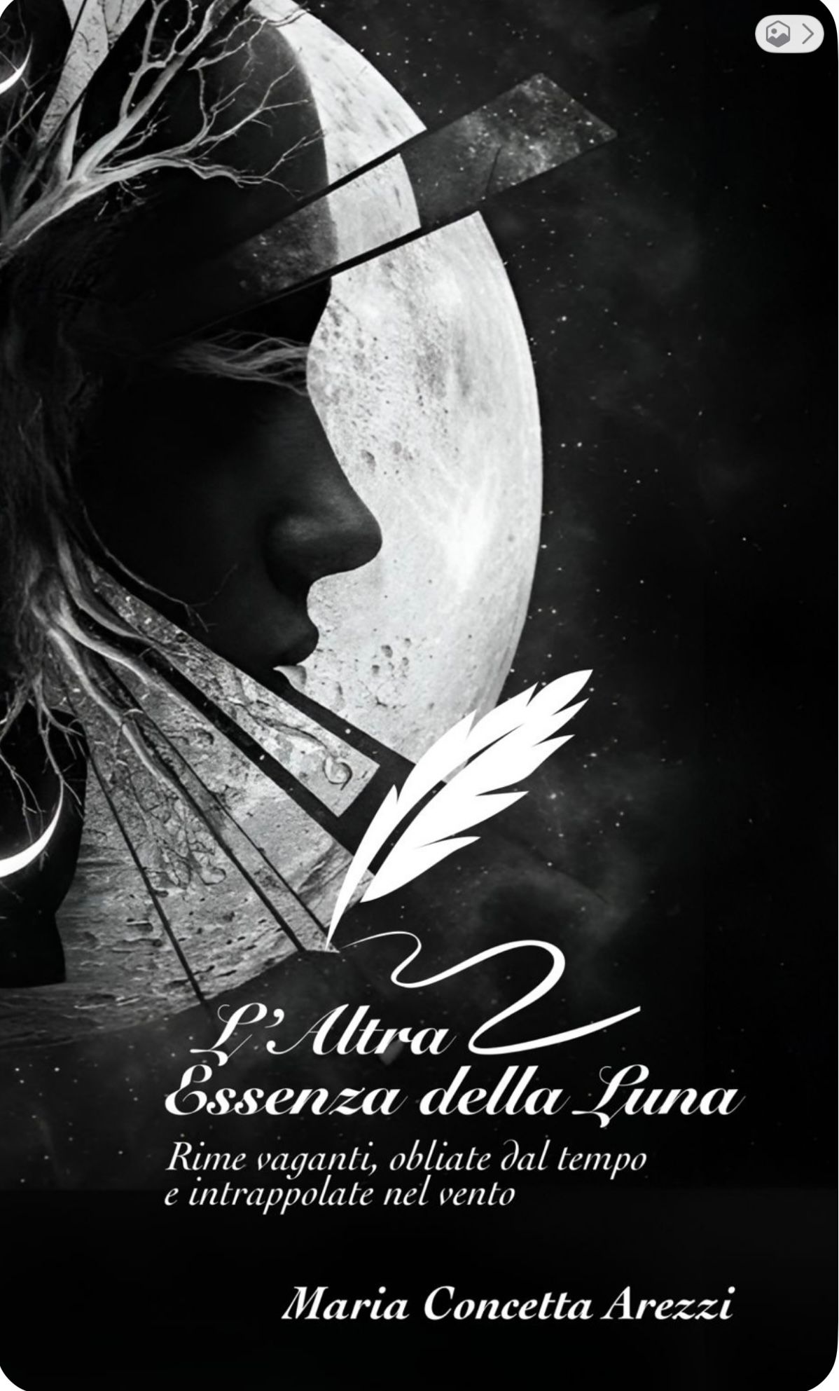 Copertina di L’Altra Essenza della Luna